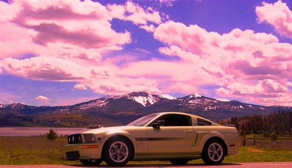 New Hood.. You Vote-5933_1089929215565_1446531206_30196339_3369478_n.jpg