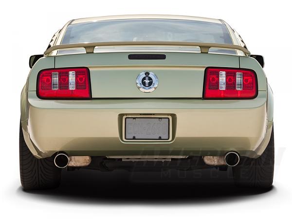 2010 Style Taillamps for 05-09!!!-mustangtuning_2102_9528566.jpg