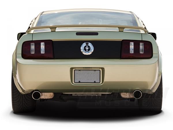 2010 Style Taillamps for 05-09!!!-mustangtuning_2102_8402305-1-.jpg