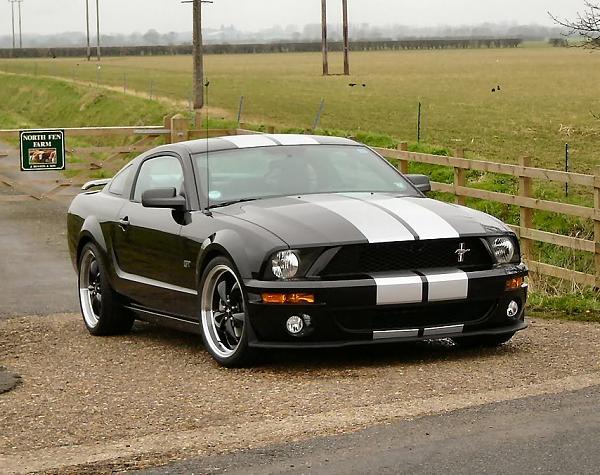 Front fascia ripped off, what can I do here?-black-gt500-front.jpg