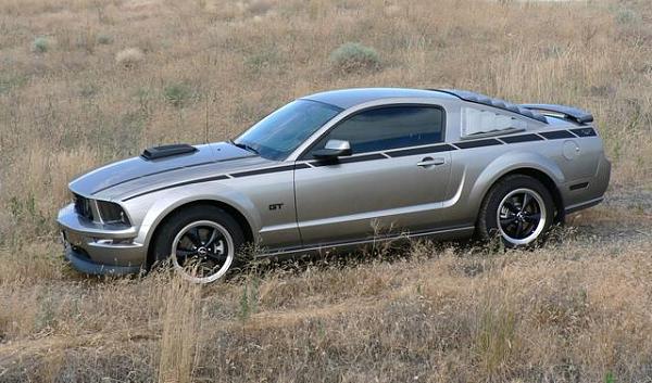 Trying Red Pinstripes for Whinnie...-p1040011copy.jpg