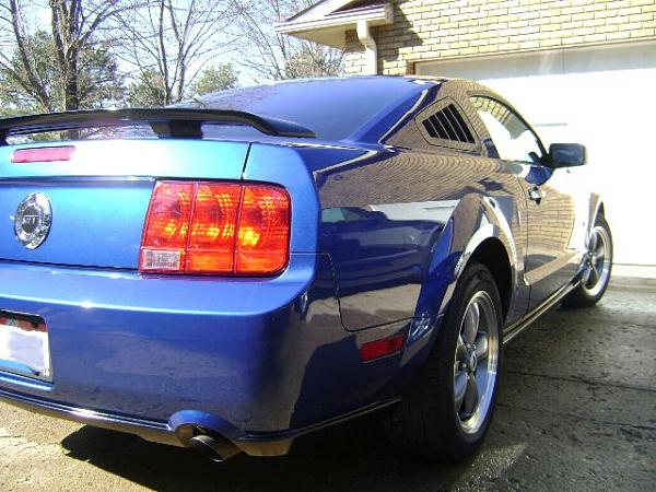 Show Us Your Rear-06rear.jpg