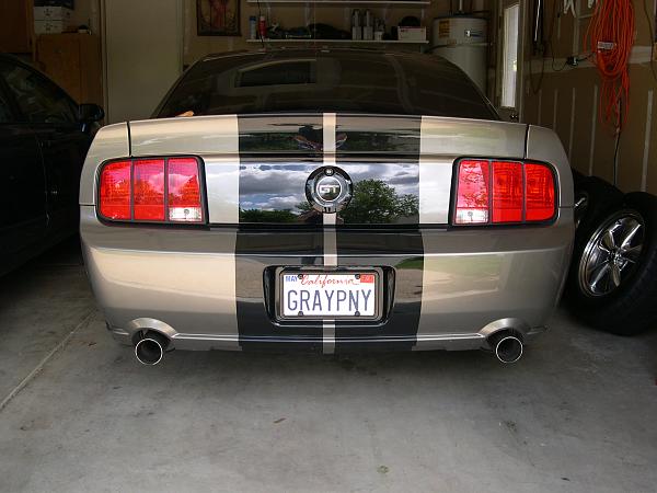 Show Us Your Rear-pony-delete-002.jpg