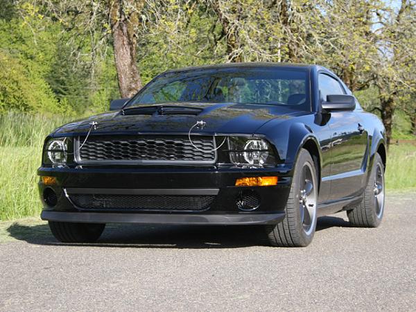 GT500 Hood Without Vents-newbullitt.jpg