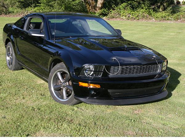 GT500 Hood Without Vents-newbullitt2.jpg