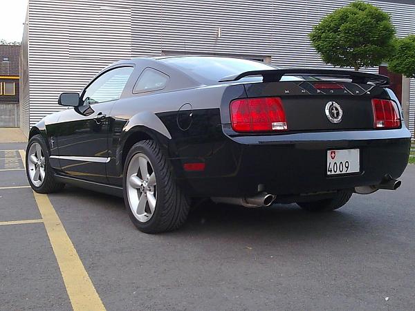 Show Us Your Rear-photo100.jpg