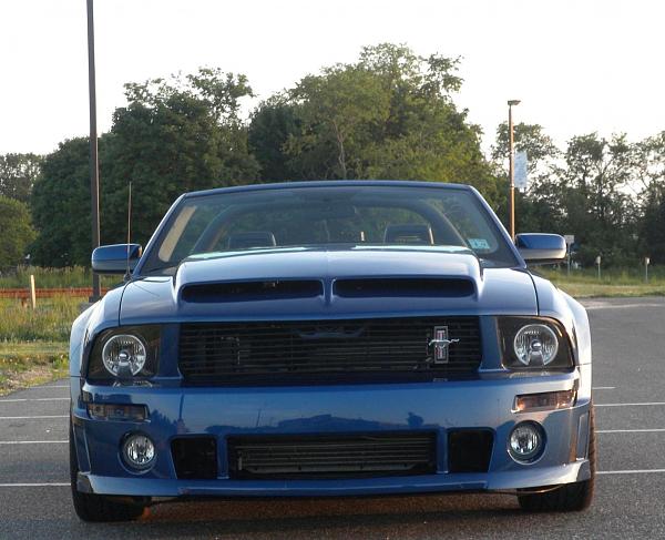 Painted! Cervinis Type IV Hood-dscn0350.jpg