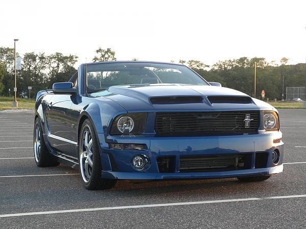 Painted! Cervinis Type IV Hood-dscn0351.jpg