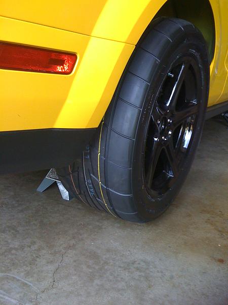 305's out-back-021.jpg