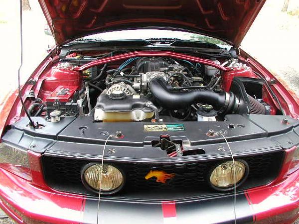 Finished Some Painting-p1010005.jpg