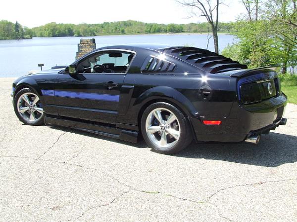 Anyone buy a pre-painted gt500 spoiler in black?-dscf0191.jpg