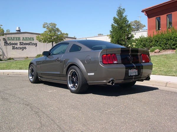 Show Us Your Rear-aaaaa-009.jpg