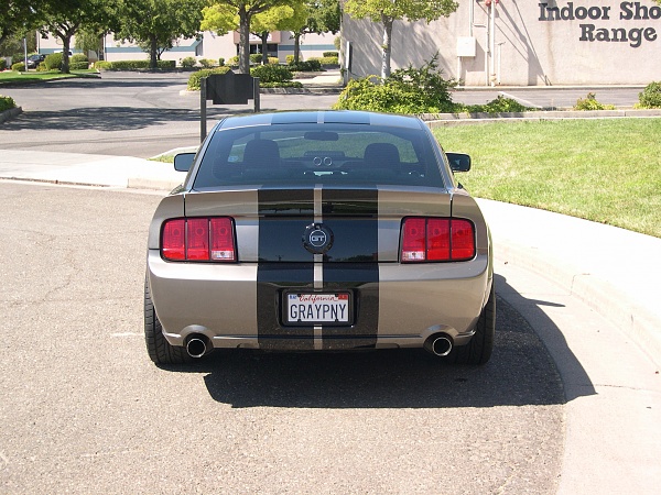 Show Us Your Rear-aaaaa-010.jpg