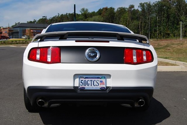 Show Us Your Rear-1-rear.jpg