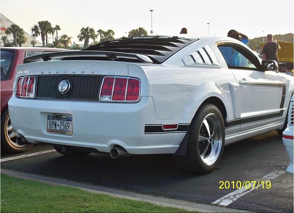 Show Us Your Rear-rear1.jpg