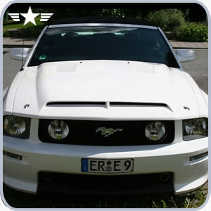 Name:  product_trufiber_mustang_gts4_functional_hood.jpg
Views: 371
Size:  18.2 KB