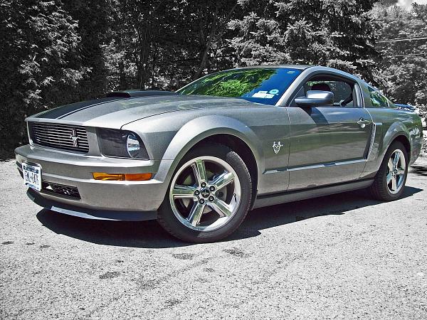 2011 Chrome Grill Pony ... will it fit 05-09??-mustang-20_edited-2.jpg