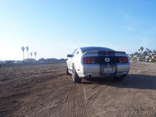 Help... i'm looking for these...-100_1861.jpg