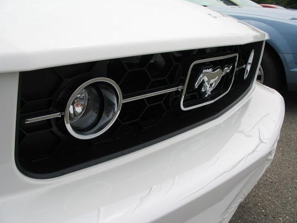 V6 upgrade to foglights-v6-bumper.jpg