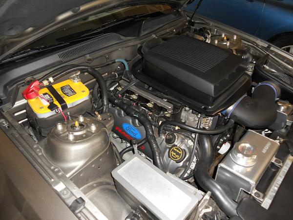 Ford Racing Cam Cover Decals-dscn0032.jpg