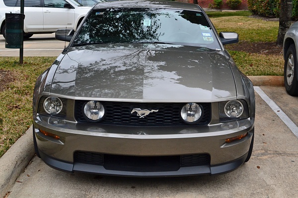 Name:  DSC_0085_2%20copy.jpg
Views: 1435
Size:  127.8 KB