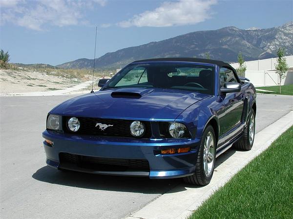 Post Pictures of Your Shelby GT or GT/CS Front Ends-other-mustangs-041.jpg