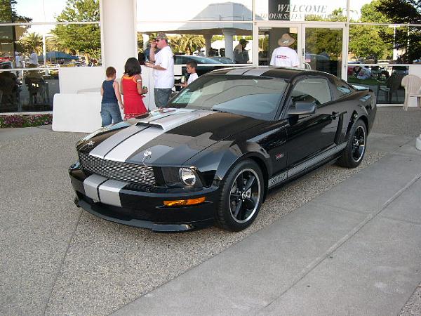 Post Pictures of Your Shelby GT or GT/CS Front Ends-other-mustangs-097.jpg