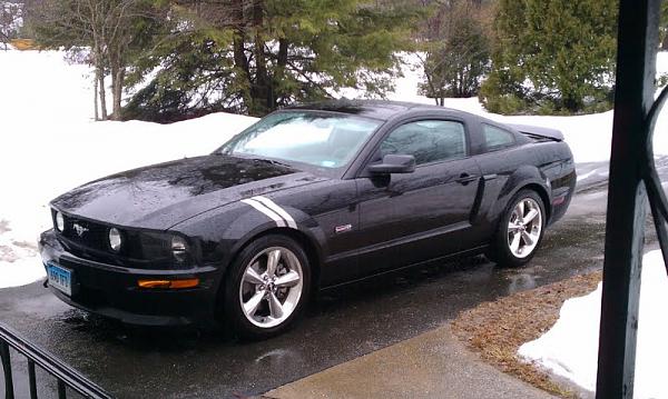 Post Pictures of Your Shelby GT or GT/CS Front Ends-ygygyuy.jpg