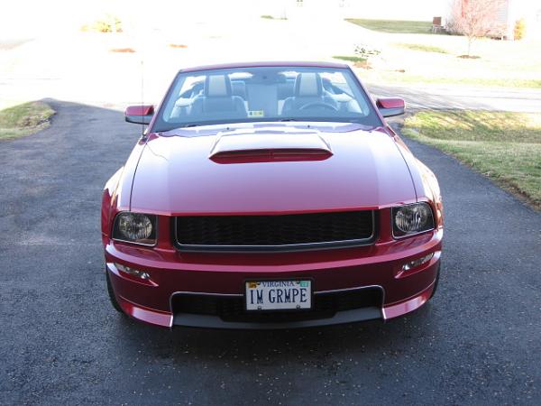 Post Pictures of Your Shelby GT or GT/CS Front Ends-img_0801.jpg