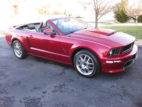 Post Pictures of Your Shelby GT or GT/CS Front Ends-img_0802.jpg