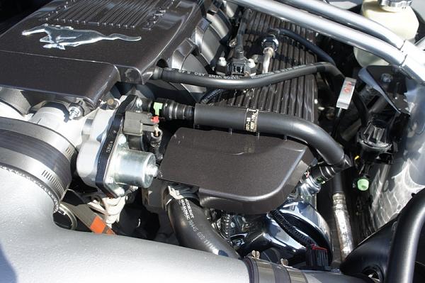 "Someday" is finally here... bye bye vinyl!-dsc05497.jpg