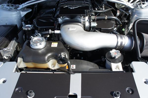 "Someday" is finally here... bye bye vinyl!-dsc05494.jpg