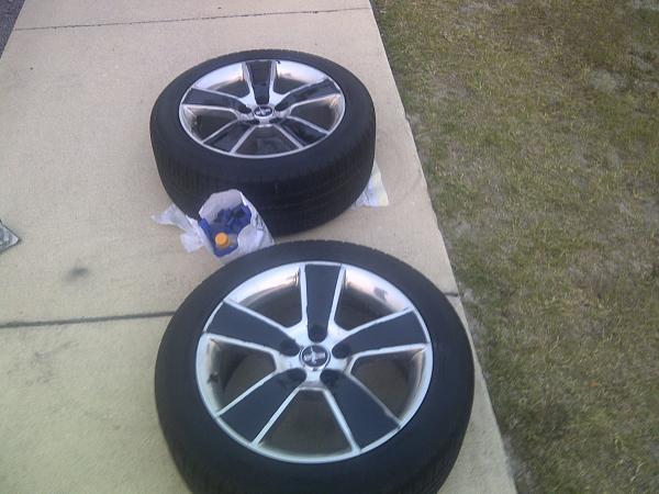 Windveil Blue Fanblades - Need Opinion-jacksonville-20110507-00148.jpg