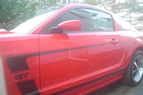 Agent 47 Mirrors-dsc05138.jpg