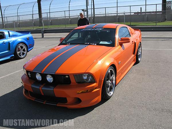 Ideas/suggestions-mustangworld_ffw_347_jpg.jpg