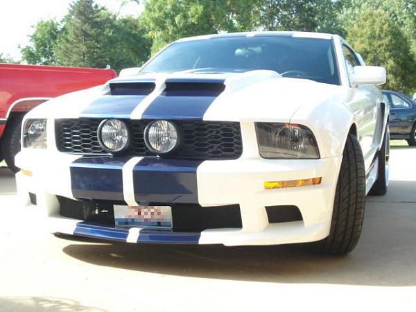 Blue Stipes on white-donemustang5.jpg