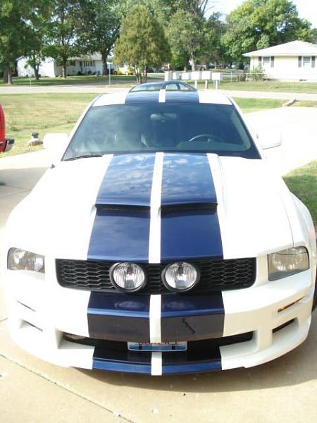 Blue Stipes on white-donemustang6.jpg