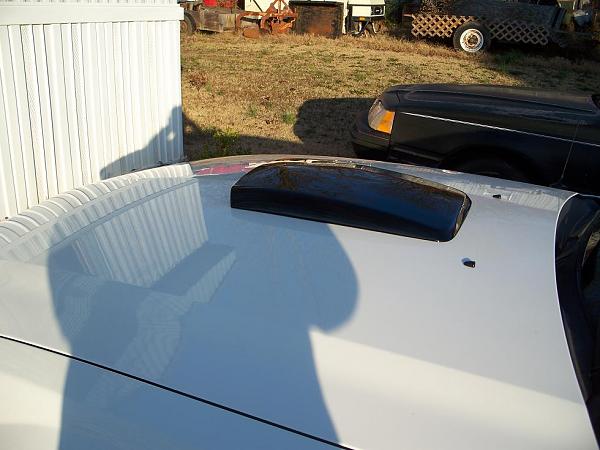 I still cannot decide on a hood stripe...-12-15-11-019-scaled.jpg