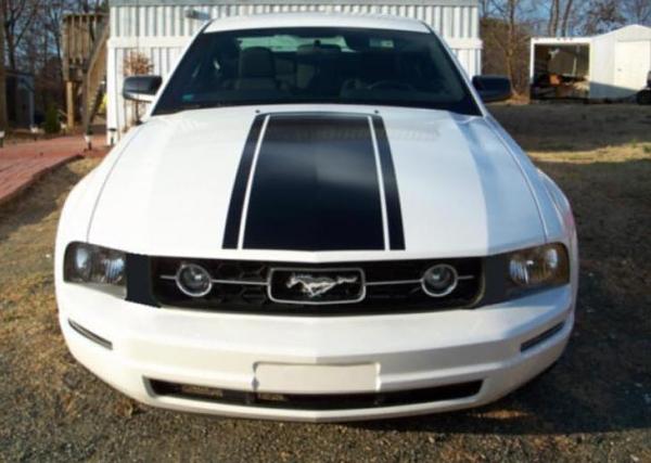 I still cannot decide on a hood stripe...-february_2009_009mod.jpg