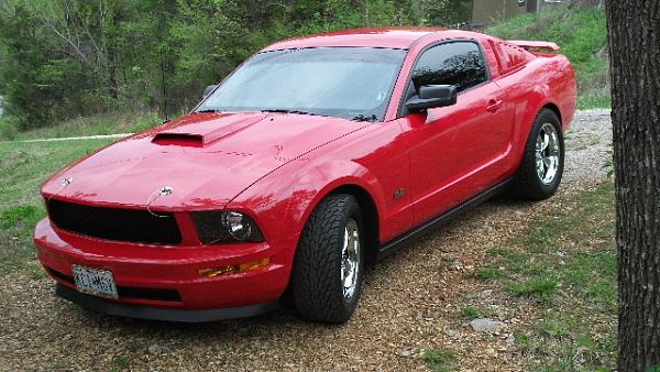 Need opinions-dscf0540.jpg