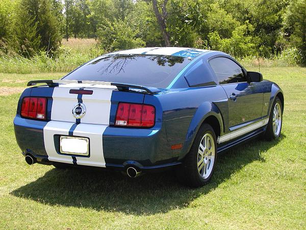 Tinting!  Post your pics!-zainoii-coat-1-5.jpg