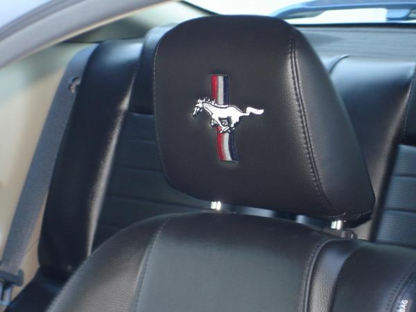 MY headrest embroidered-dsc00918.jpg
