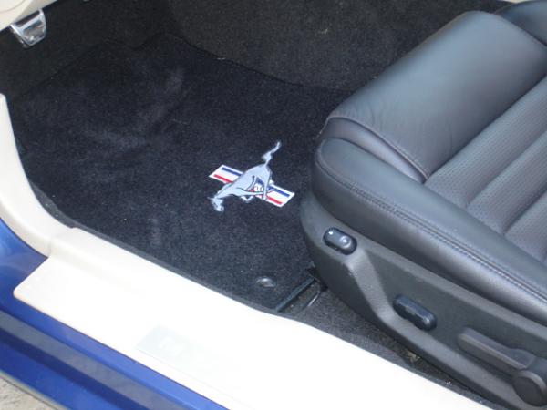 MY headrest embroidered-dsc00916.jpg