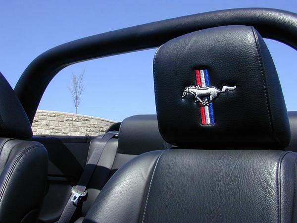 MY headrest embroidered-headrest.jpg