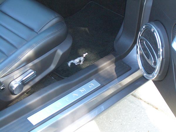 STEEDA Speaker covers installed-cimg0903.jpg