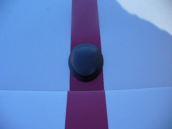 SIRIUS PLUG AND PLAY FOR 05 up Mustang-p1000846.jpg
