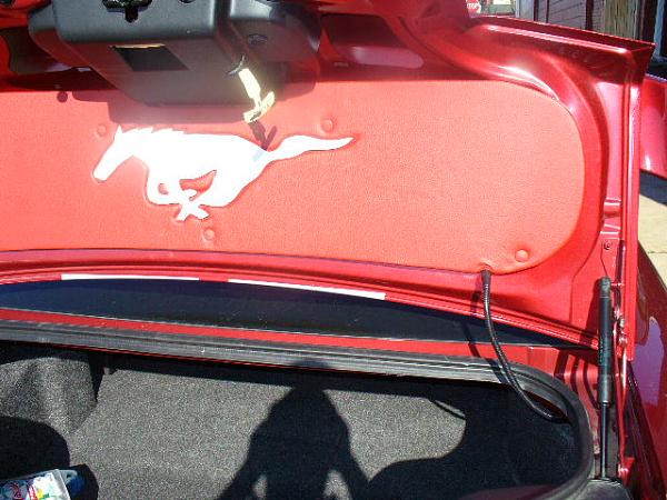 SIRIUS PLUG AND PLAY FOR 05 up Mustang-p1010032.jpg
