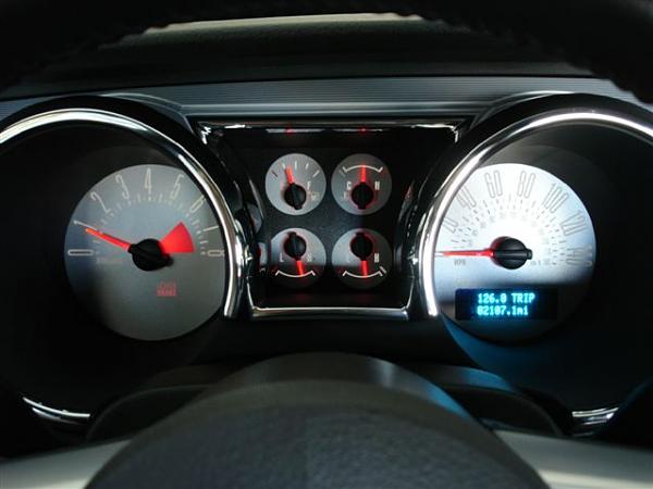 White Faced Gauges-dsc01437.jpg