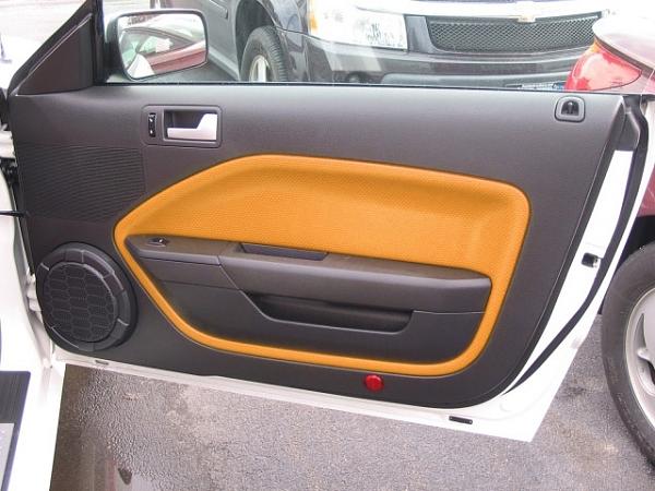 Grabber Orange door panel inserts?-door-01.jpg