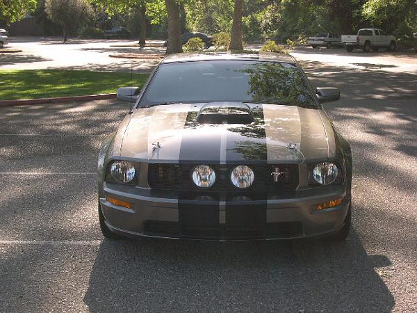 After 2 Years Finally Got Tint~-tint-009.jpg